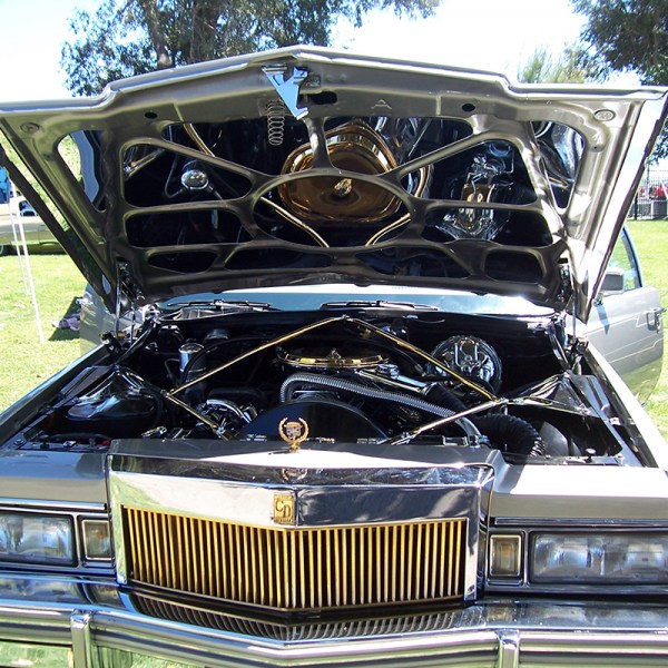 1977-79 CADILLAC CDV HOOD